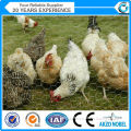 PVC coated or galvanized hexagonal wire mesh
